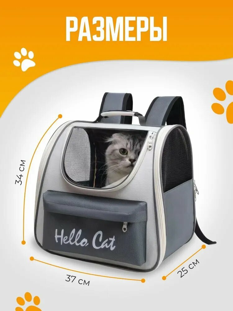 Переноска — фото 1