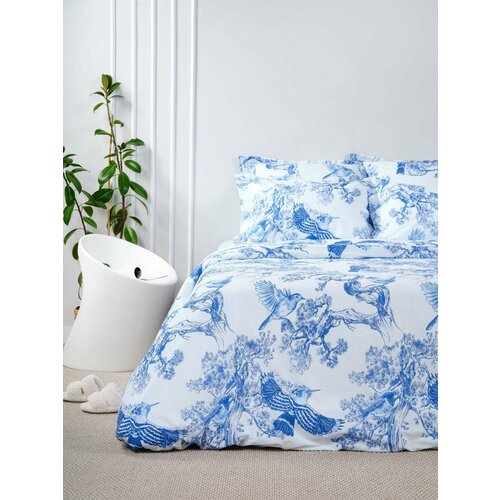 Постельное белье WINDSLOW Конни 20708-1+21141-42 Перкаль 2 сп с европрост (50х70) Ночь Нежна