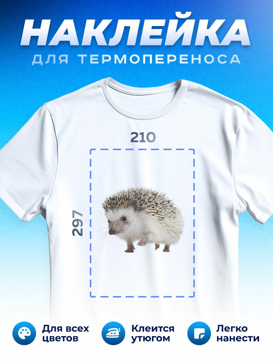 Термонаклейка для одежды наклейка Ежик_0040