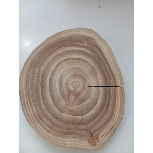 Спил дерева карагач , подставка, заготовка 19/20/3,5см