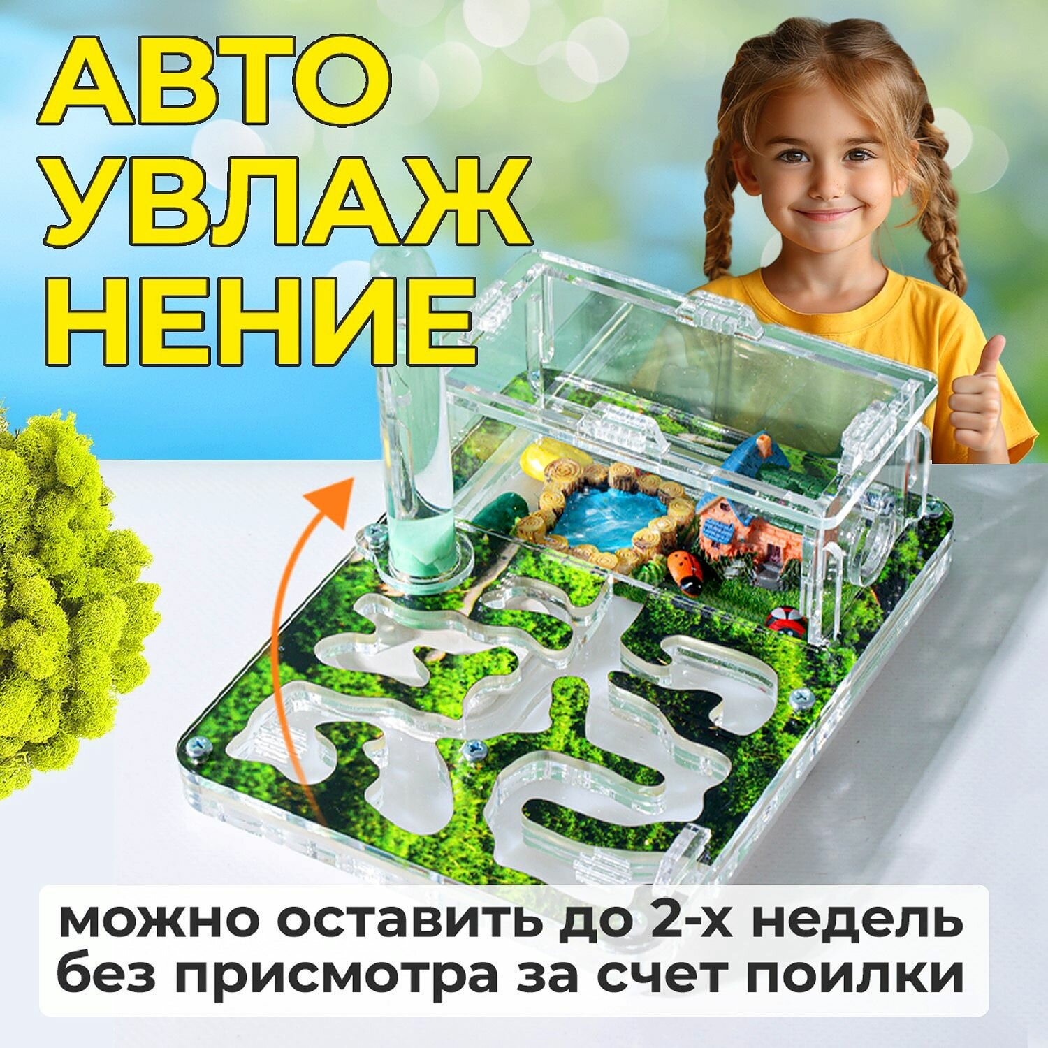 Муравьиная ферма Стартовая "Мох" ВСЕ включено Формикарий для муравьев — фото 1