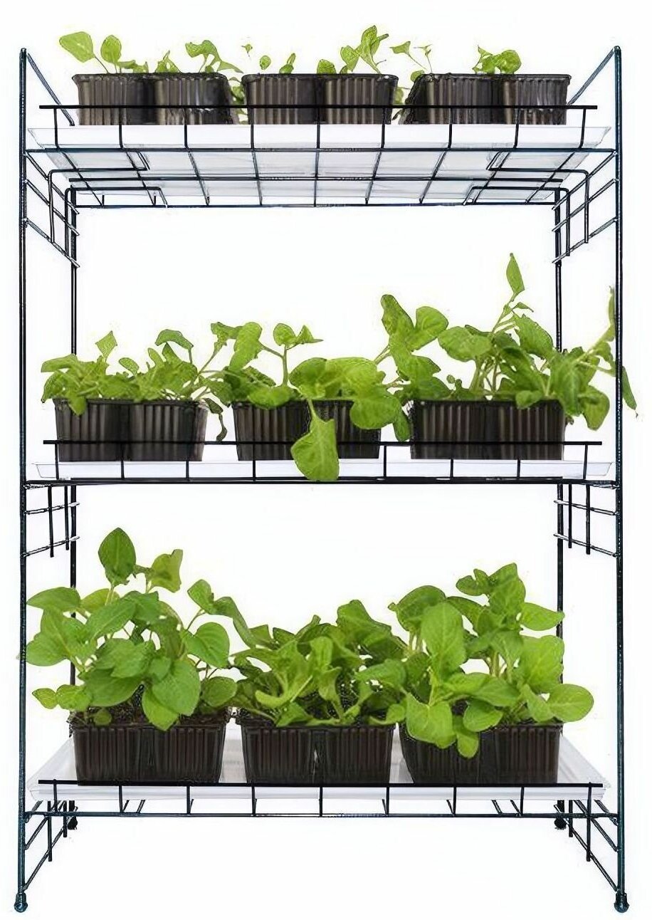 Ящик для рассады Урожай-4, размер 40х26х10 см, пластик, 3 шт, прочные стенки препятствуют движению грунта и позволяют избежать травмы корней растений