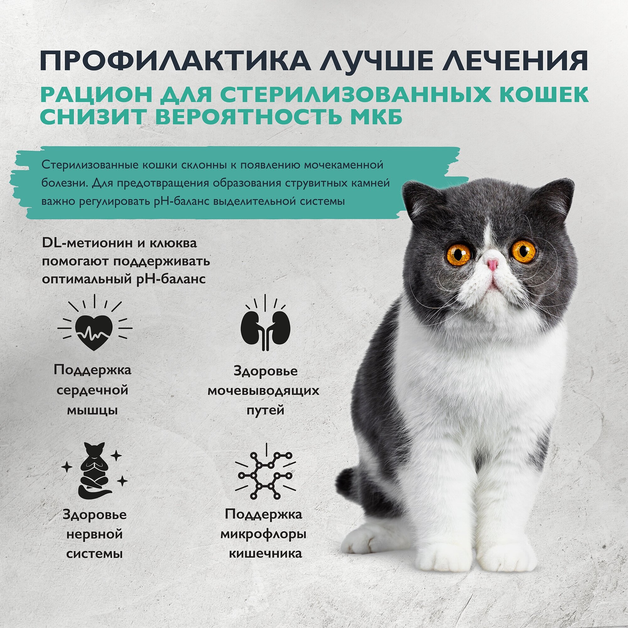 Сухой корм BRIT CARE супер-премиум с индейкой и уткой для стерилизованных кошек "Cat Sterilised Urinary Care" 0,4 кг - фотография № 2
