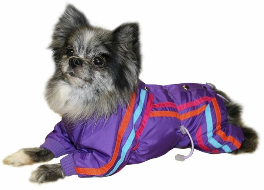 КУЗеР комбинезон демисезонный "Спринт" на подкладке для породы шпиц р.25 для девочки, одежда для собак дождевик для мелких и средних пород - фотография № 3