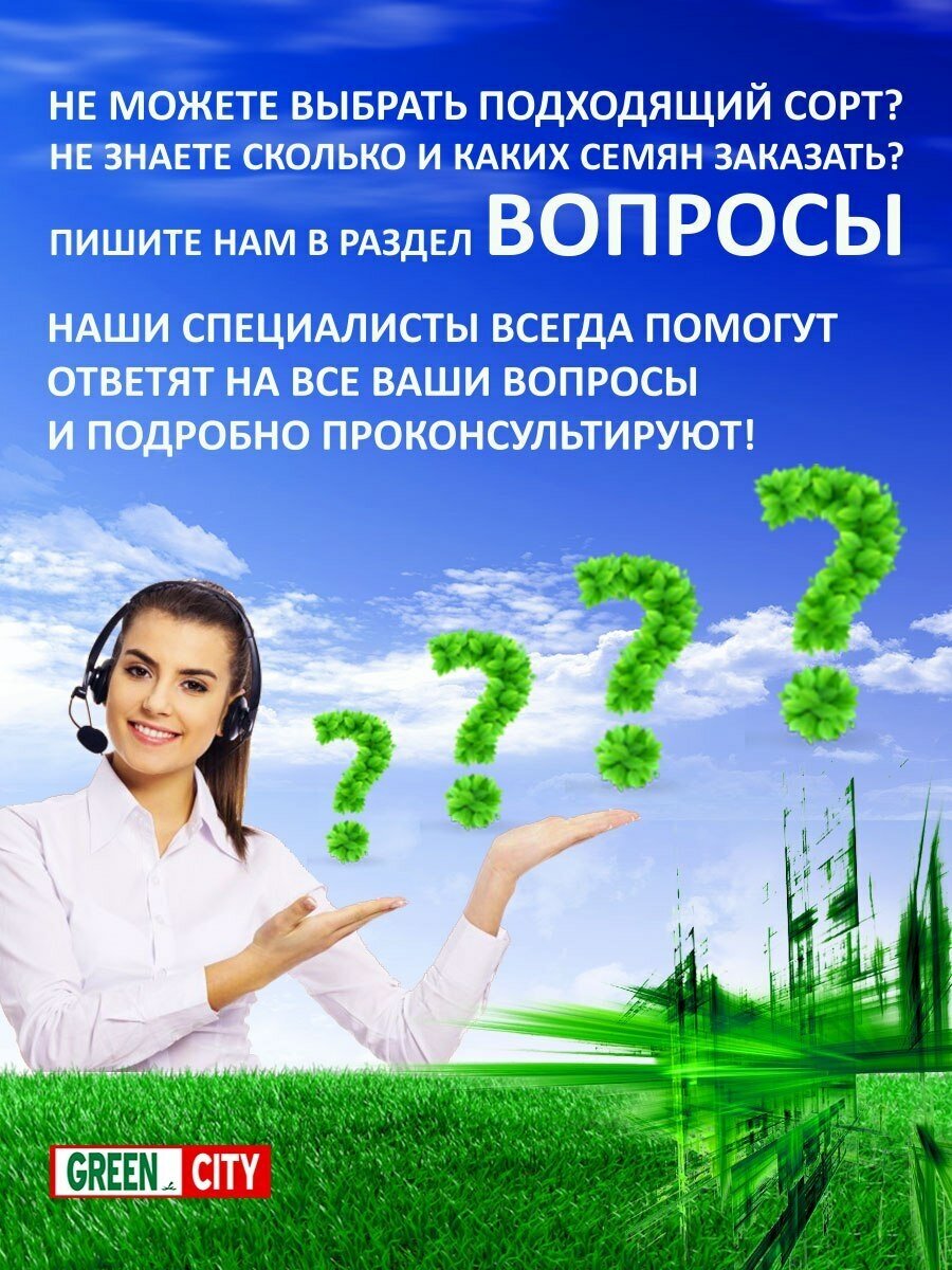 Газонная трава семена Канада Грин Городской CITY 10 кг/ мятлик, райграс .