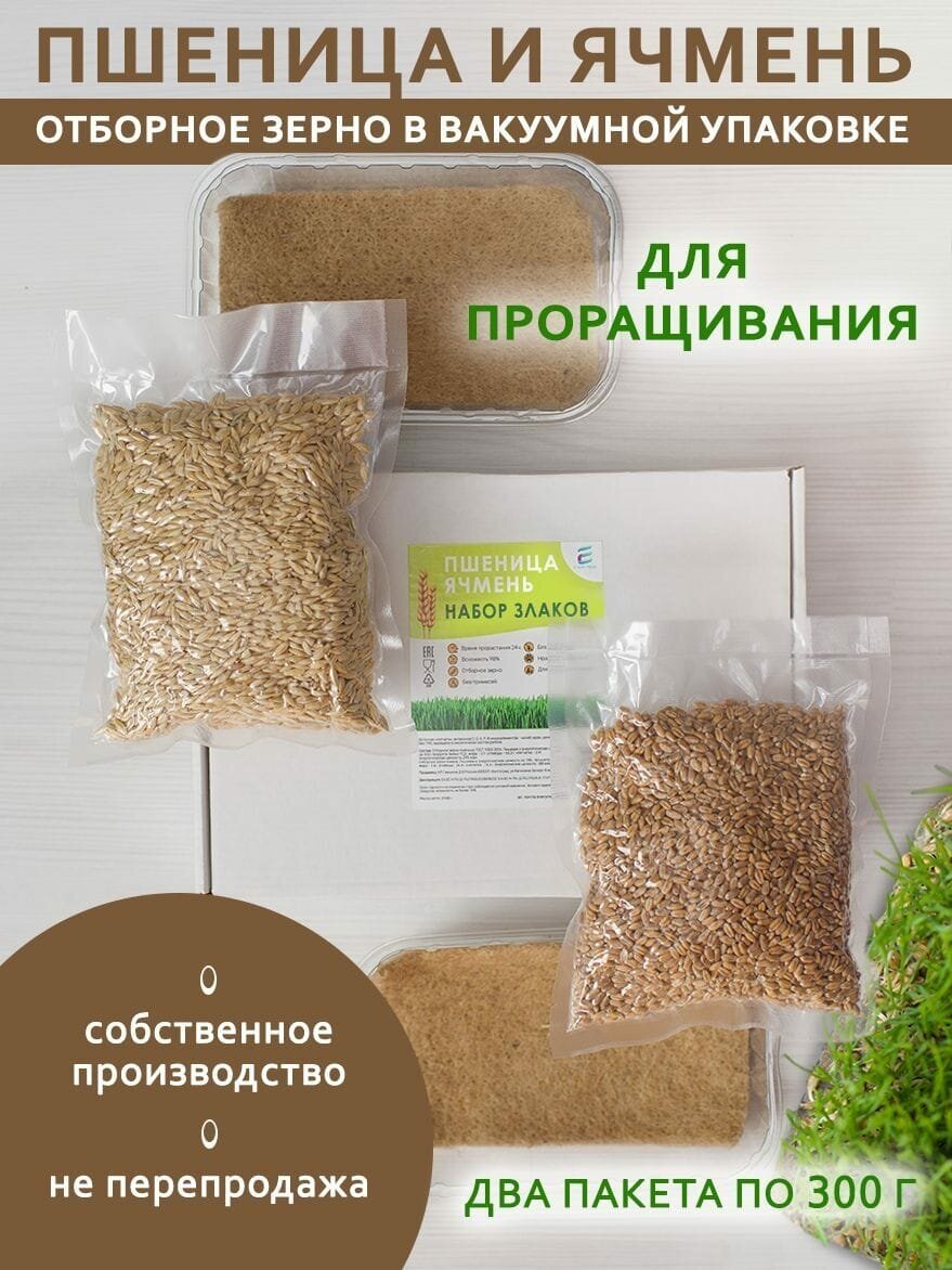 Злаки для проращивания — купить по низкой цене на Яндекс Маркете