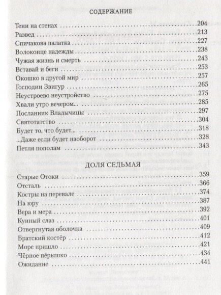 Братья. Книга 2. Царский витязь. Том 2 - фото №4