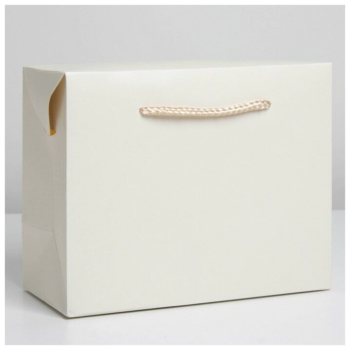 Пакет — коробка «Белый» 28 × 20 × 13 см