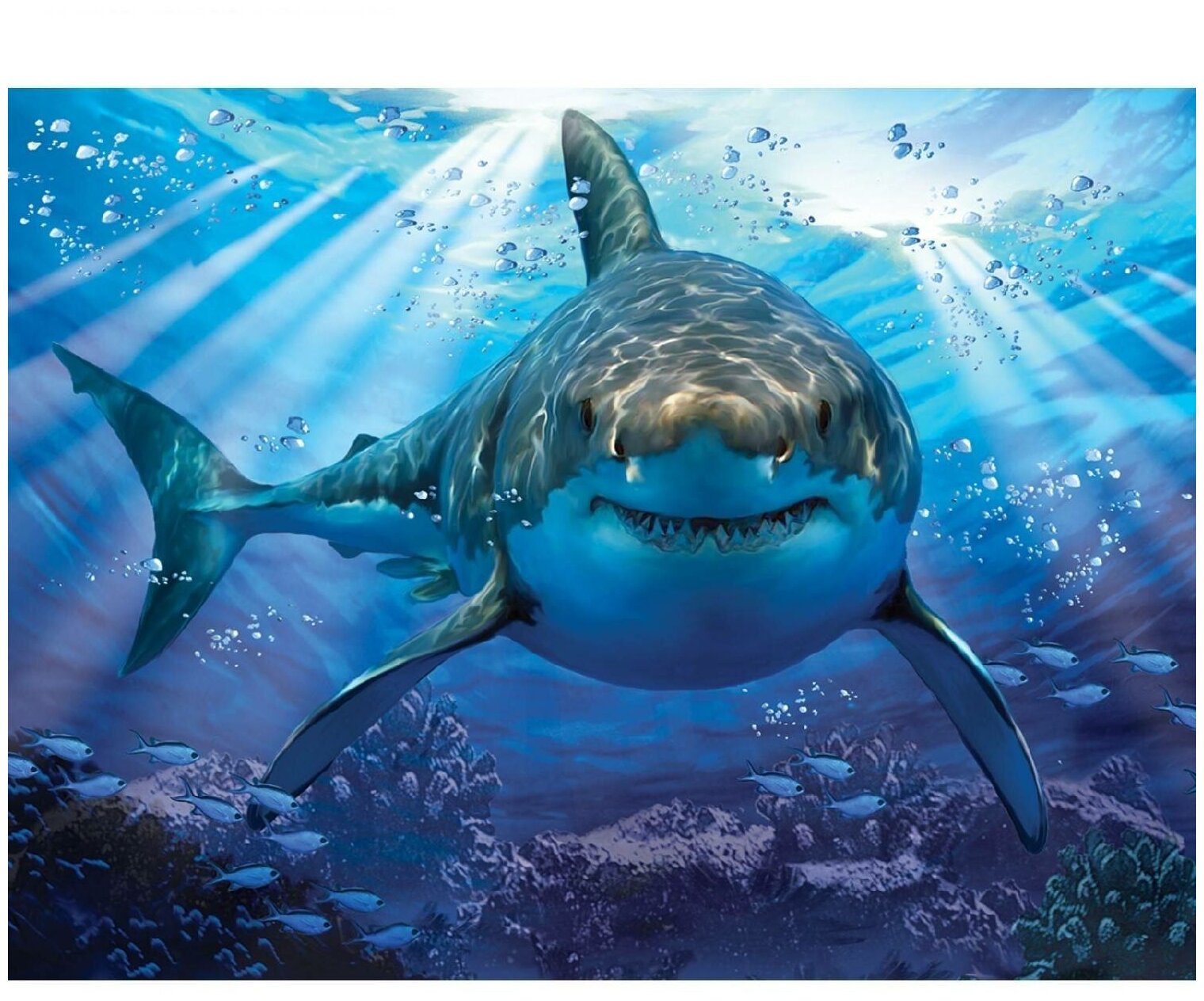 Стерео пазл Prime 3D Howard Robinson 3D Большая белая акула - фото №5