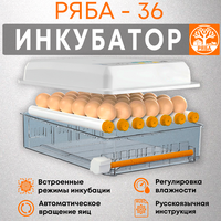 Инкубатор для яиц автоматический с терморегулятором Ряба-36