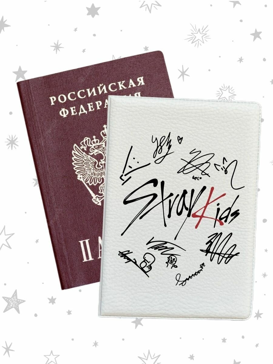 Обложка для паспорта pass-20 