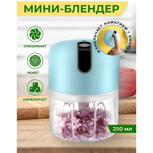 Измельчитель электрический кухонный блендер 79400₽