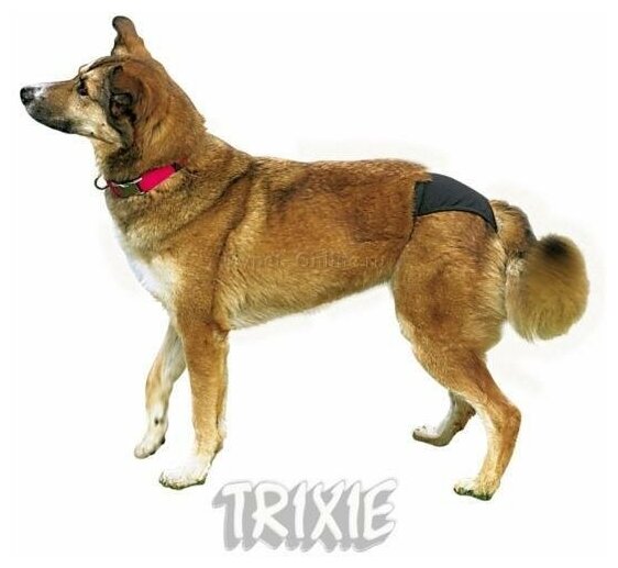 Трусы гигиенические для собак Trixie