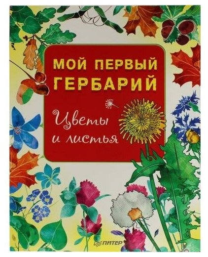 Мой первый гербарий. Цветы и листья - фото №11