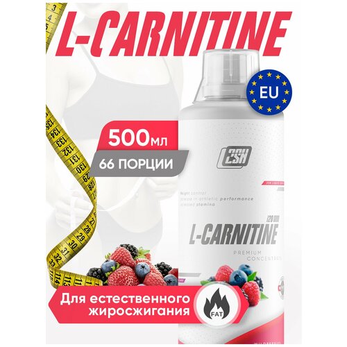 2SN L-carnitine 500ml (Лесная ягода)