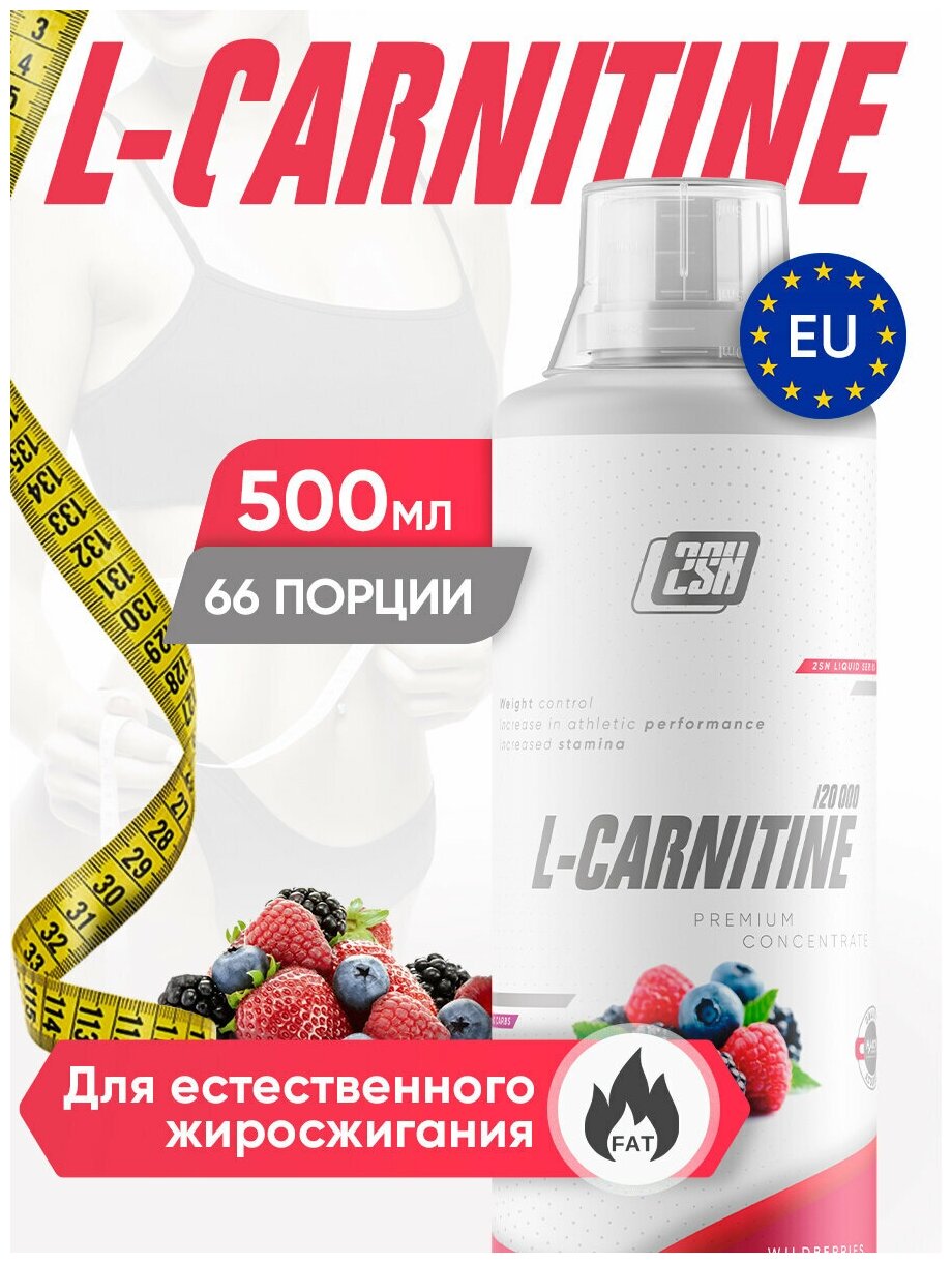 2SN L-Carnitine Concentrate 500 мл (лесные ягоды)