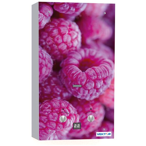 Проточный газовый водонагреватель VEKTOR 10 G Малина 1089000₽