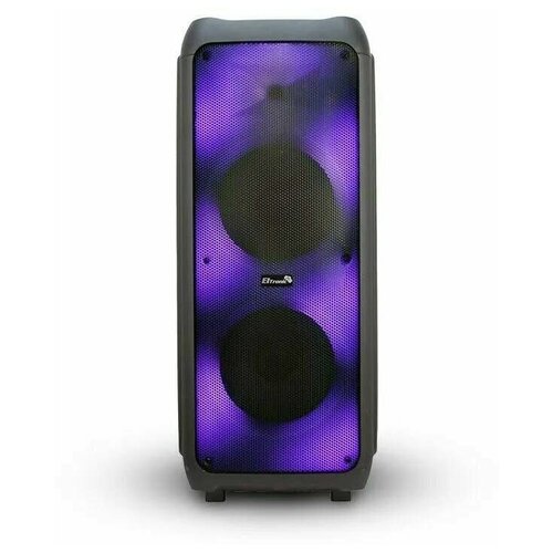 Колонка ElTronic 20-56 динамик 2шт12 черная с TWS 3101400₽