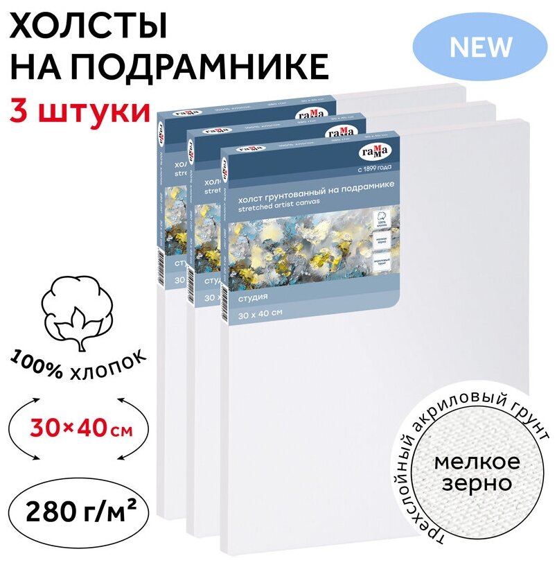 Холст для рисования на подрамнике Гамма "Студия" грунтованный 30*40 см мелкое зерно / 3 шт. для рисования масляными, акриловыми и гуашевыми красками