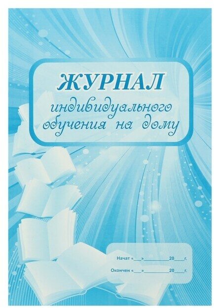 Журнал индивидуального обучения на дому А4, 24 листа, обложка мелованный картон 215 г/м², блок писчая бумага 60 г/м²