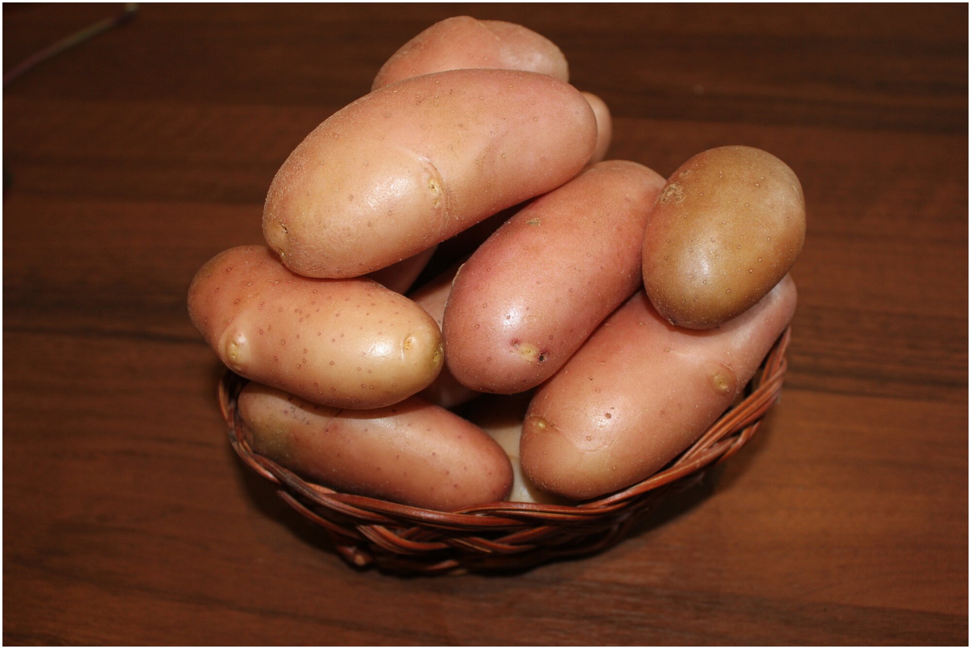 Картофель семенной сорт Фаворит (суперэлита) (4 кг) - фотография № 5