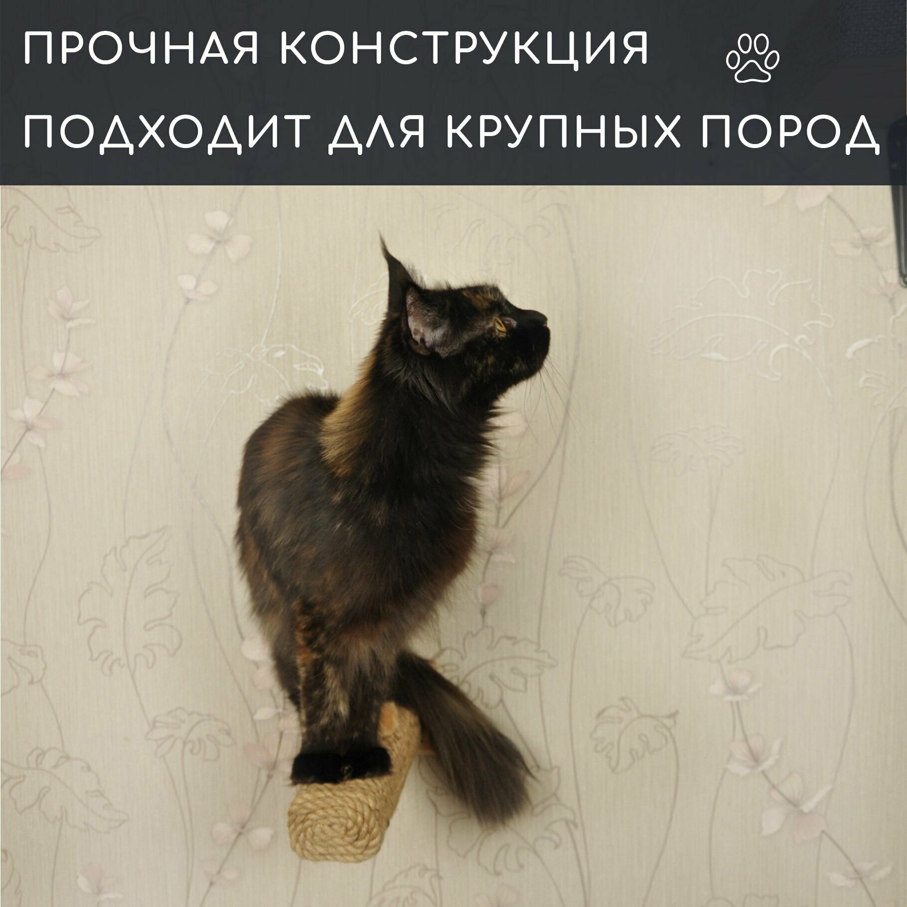 Когтеточка для кошек настенная прямоугольная - фотография № 1