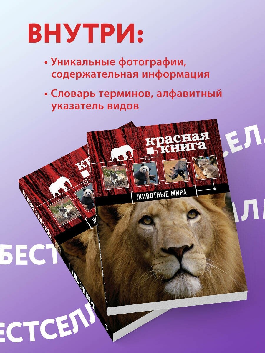 Скалдина О. В. Красная книга. Животные мира