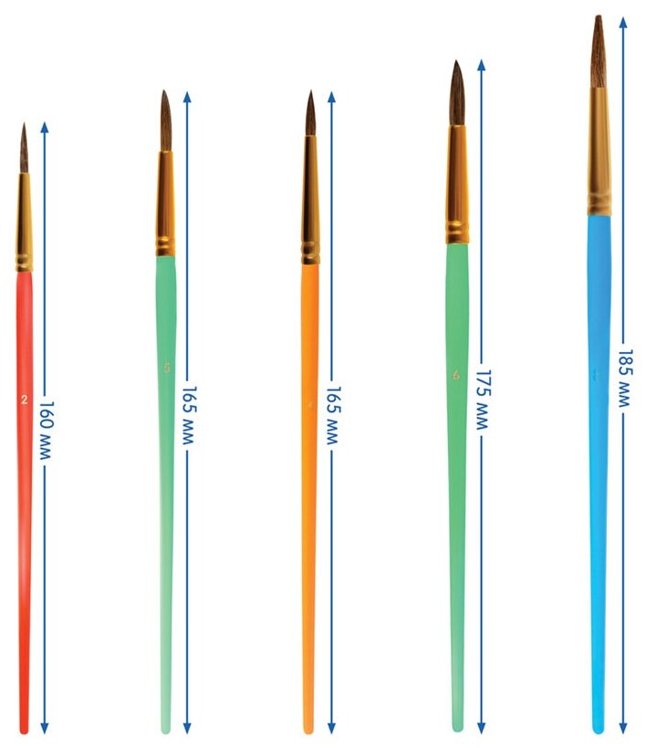 Набор кистей Мульти-Пульти 5шт, пони № 2, 3, 5 круглые, белка № 6, 8, круглые, блистер