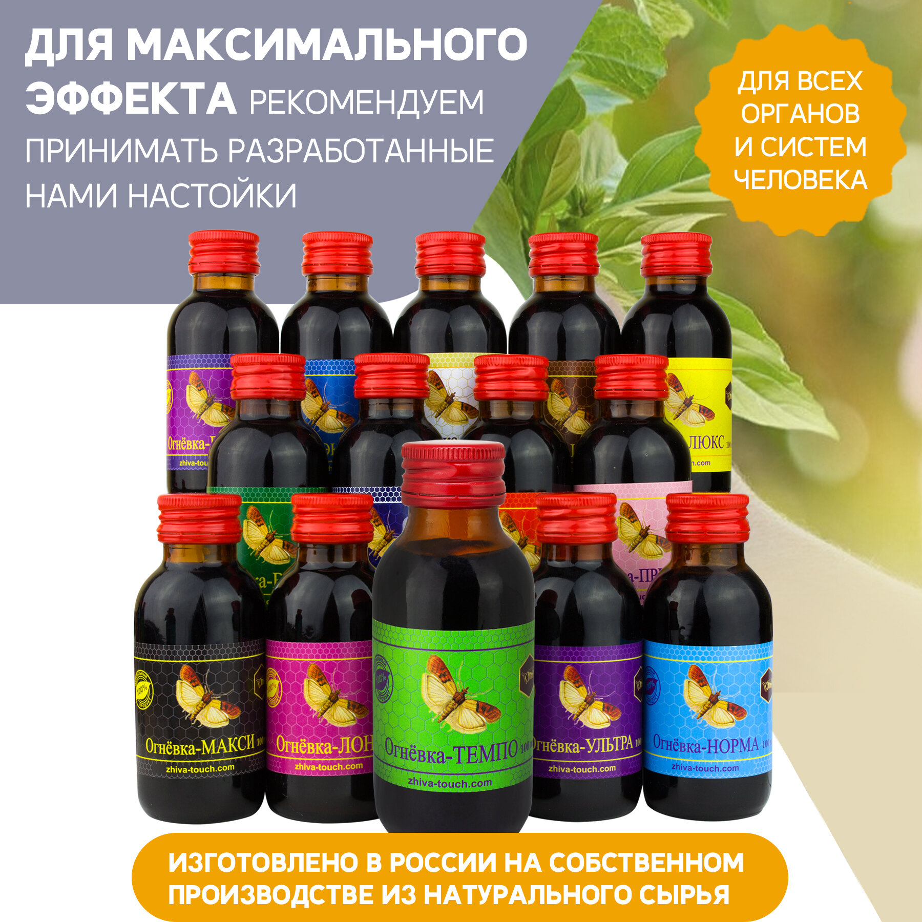 Антисептические Настойки Настойка Огневка - Темпо - для суставов и связок, боль в спине и мышцах, 100 мл.