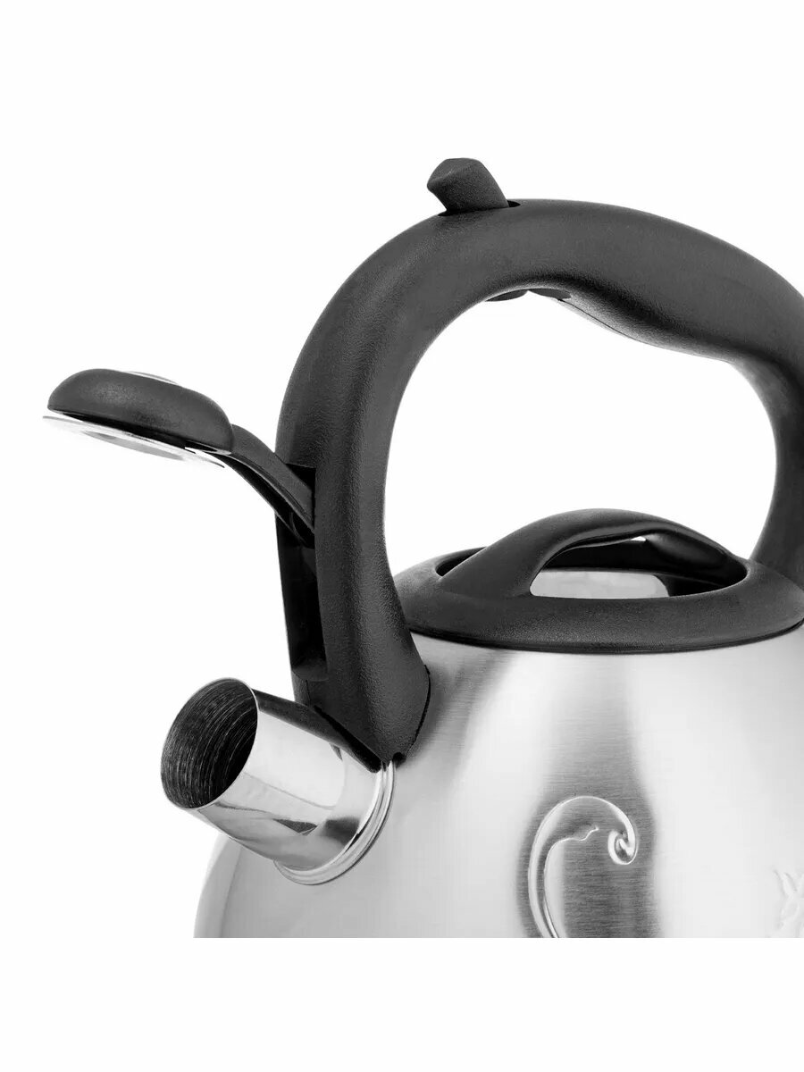 Чайник со свистком — фото 1