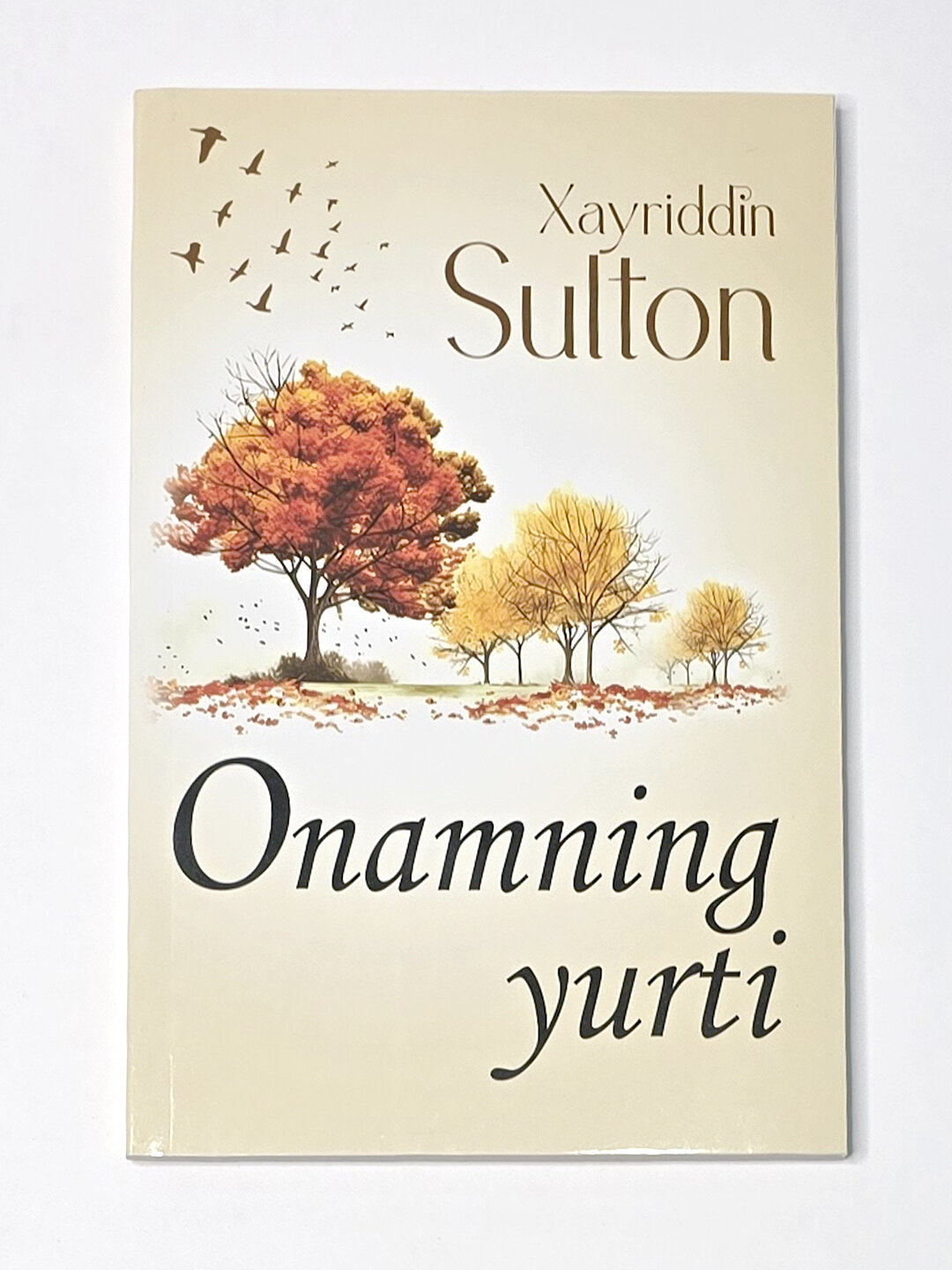 Онамнинг юрти, Хайриддин Султан