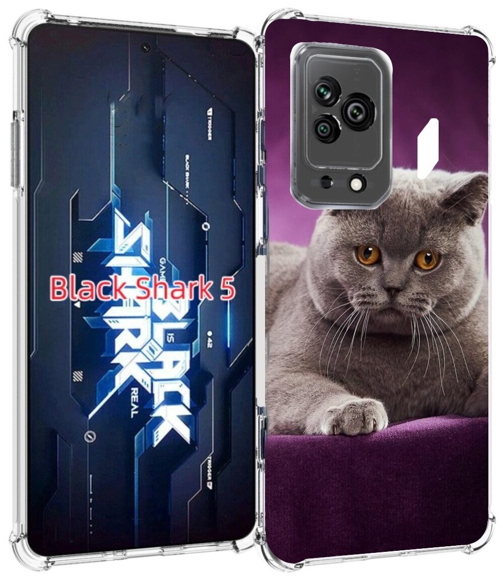 Чехол MyPads кошка британская короткая для Xiaomi Black Shark 5 задняя-панель-накладка-бампер