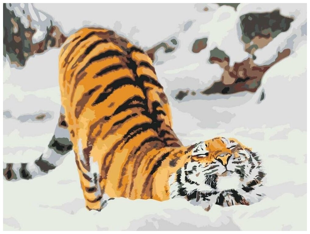 Картина по номерам на холсте на подрамнике ЖПН "Милейший тигр", Раскраска 30x40 см, Зима Животные
