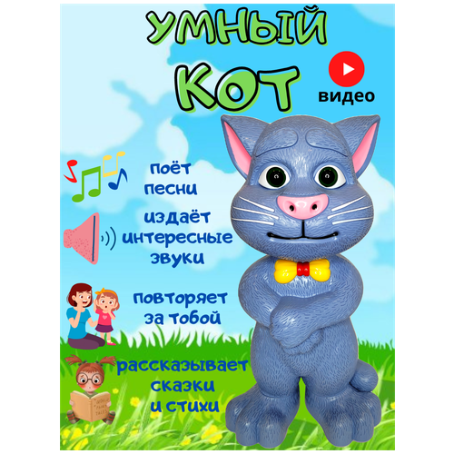 Интерактивная игрушка развивающая говорящий Кот Том