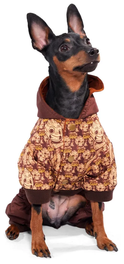 Комбинезон-дождевик для собак Triol Disney Marvel Малыш Грут, демисезонный, размер S, 25 см - фотография № 6