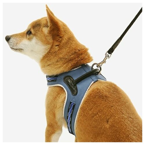 Шлейка для собак Japan Premium Pet / Шлейка-жилетка с балансером на основе жидкой кожи и натурального войлока, размер S, цвет синий