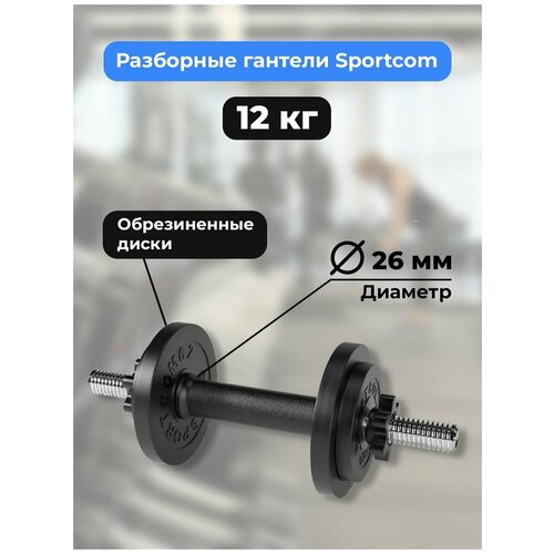 Гантель разборная Sportcom D26 12 кг гантель разборная sportcom 11 5 кг 26 мм