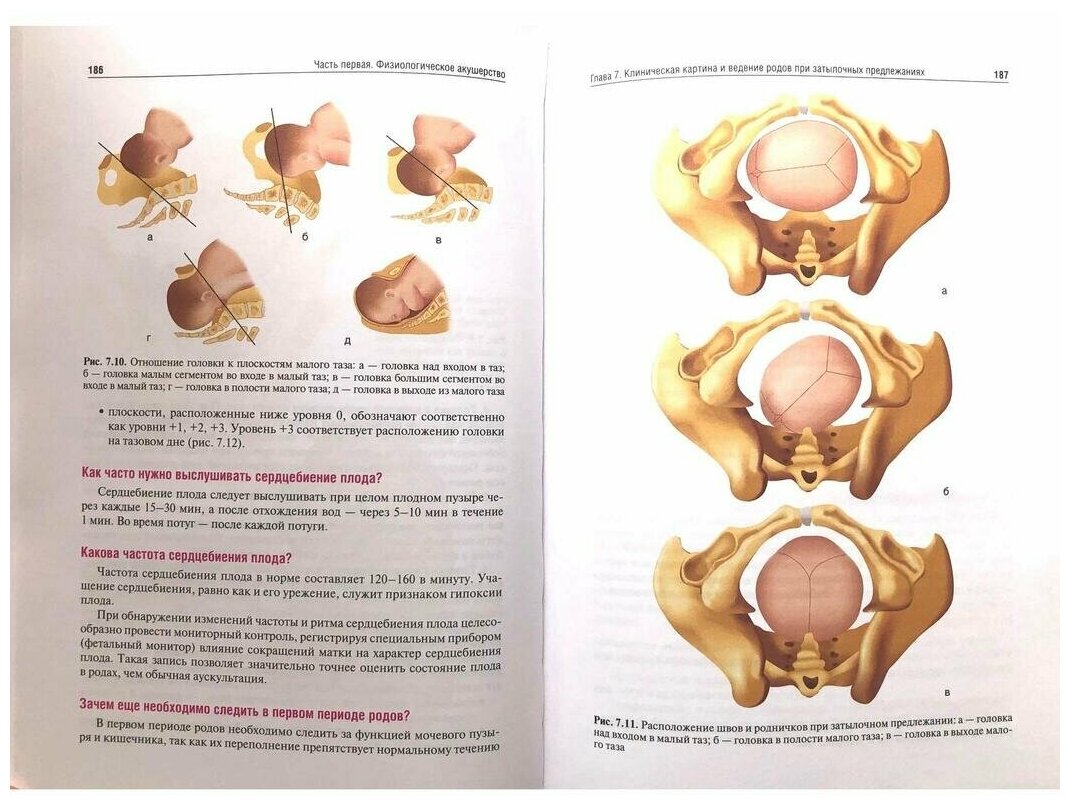 Акушерство. Руководство к практическим занятиям - фото №4