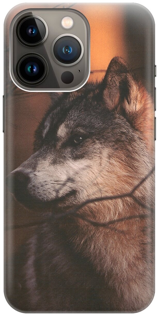 Силиконовый чехол на Apple iPhone 14 Pro Max / Эпл Айфон 14 Про Макс с рисунком "Красивый волк"