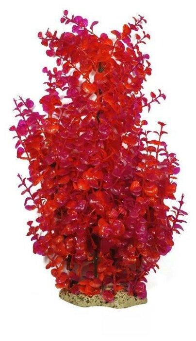Растение Тритон пластмассовое 46 см B5007 пышное (1 шт)