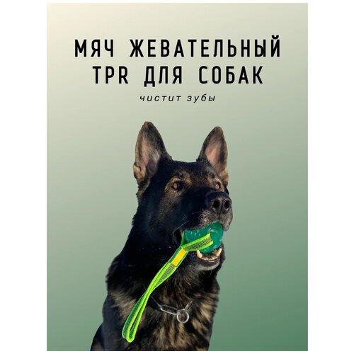 мяч для собак BITEFORCE, зеленый, жевательный 7 см на прорезиненной ленте/кормушка/для чистки зубов