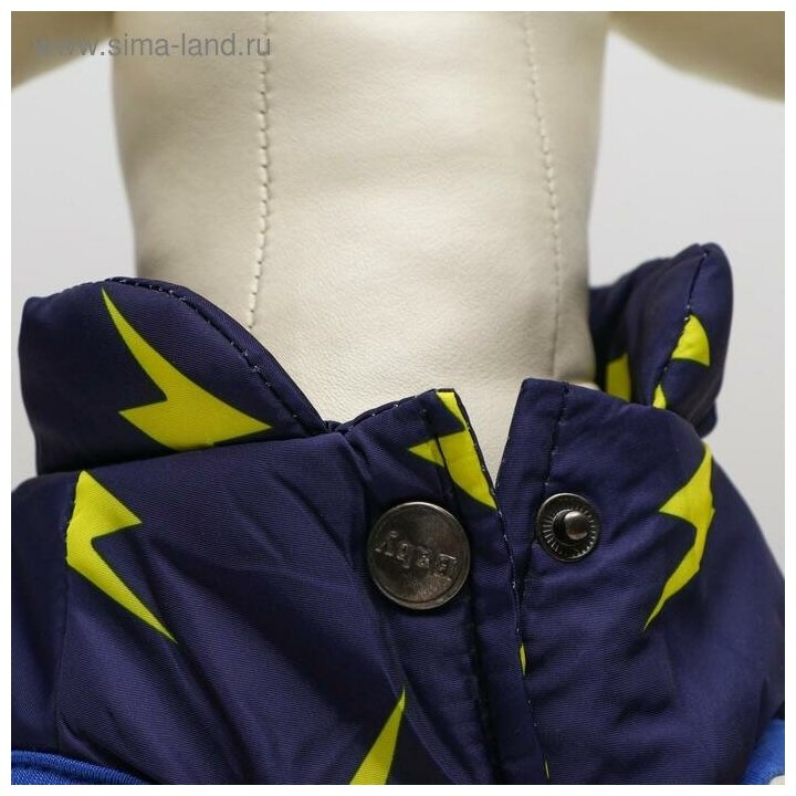 Куртка для собак "Молния", M (ДС 25 см, ОШ 26 см, ОГ 37 см), тёмно-синяя - фотография № 8