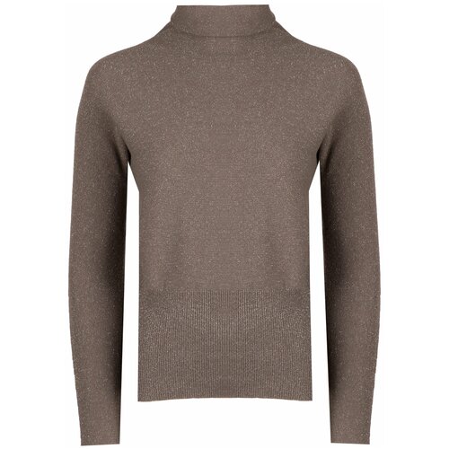 фото Водолазка fabiana filippi коричневый