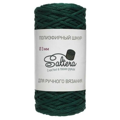 Пряжа Saltera Шнур полиэфирный 100 метров, цвет: Темная ель (119), диаметр 3мм, без сердечника