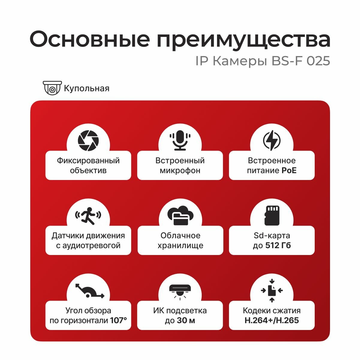 IP Видеокамера BS-V 055 BestIP — фото 1