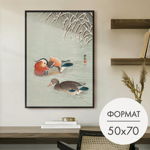 Изображение товара Постер "Утки мандаринки" 50x70 без рамки на стену для интерьера