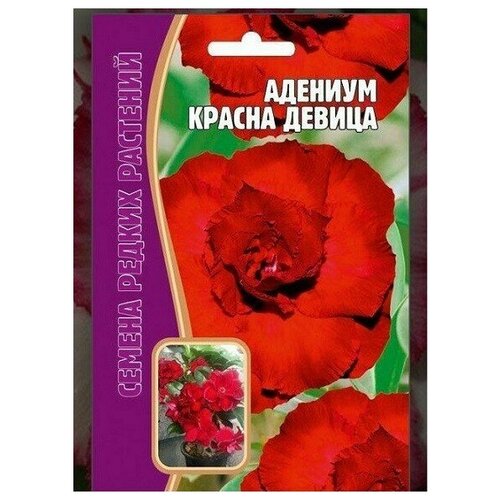 Семена Адениума 