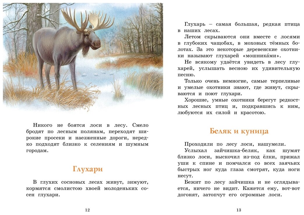 Год в лесу (Иван Соколов-Микитов) - фото №3