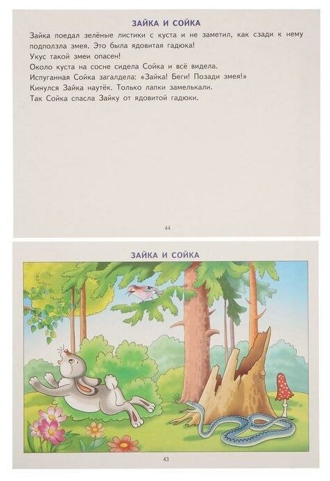 Фонетические рассказы с картинками. Свистящие звуки. 5-7 лет - фото №4