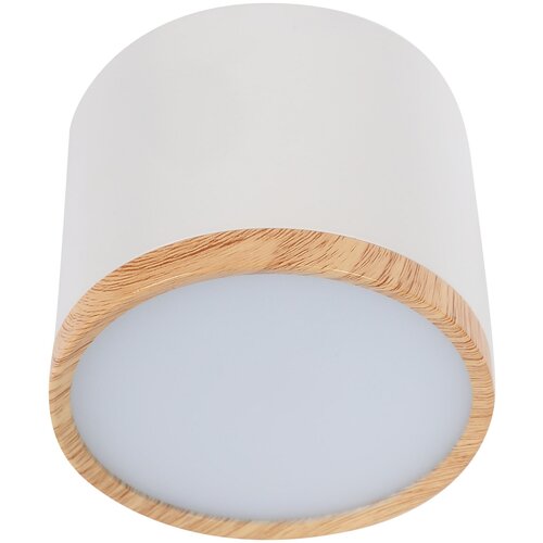 Светильник накладной светодиодный SPOT07-CLL10W, 10 Вт